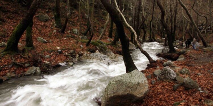 North Evia Pass 2025: Μέχρι αύριο οι αιτήσεις για την κάρτα των 150 ευρώ
