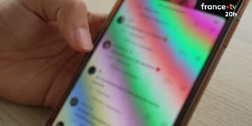 Γαλλία: Αρκούν οι πόροι της αστυνομίας και της δικαιοσύνης για την καταπολέμηση του διαδικτυακού εκφοβισμού;