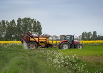 Επιπλέον πληρωμές από ΟΠΕΚΕΠΕ-ΕΛΓΑ: Καταβάλλονται σήμερα 487,9 εκατ. ευρώ στους αγρότες – Στα 3,2 δισ. τα χρήματα για το 2025