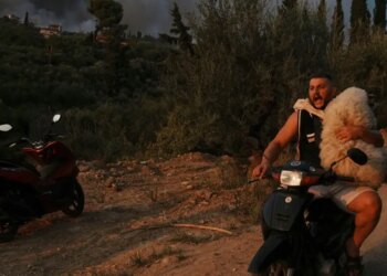 Το 2025 μέσα από τον φακό του Αssociated Press: Εικόνες που σημάδεψαν τη χρονιά