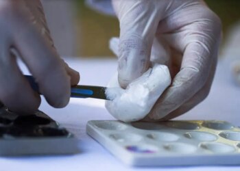 Ιταλία: Κατασχέθηκαν 435 κιλά κοκαΐνης αξίας περίπου 70 εκατομμυρίων ευρώ