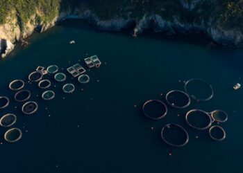 Νέο πρόγραμμα ύψους 26 εκατ. ευρώ για μεταποίηση προϊόντων αλιείας και υδατοκαλλιέργειας