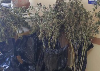 Συνελήφθησαν 3 άτομα για διακίνηση ναρκωτικών – Ανάμεσά τους ένας Υπαρχιπυροσβέστης