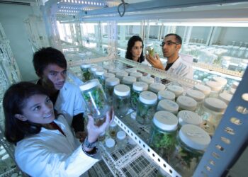 Nature: Το 2025 ανέδειξε τη δύναμη και την ανθεκτικότητα της επιστήμης