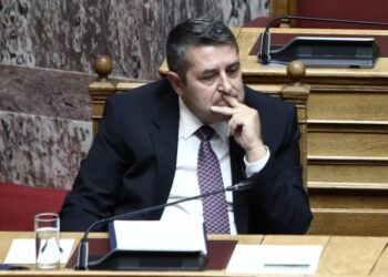 Γ. Μυλωνάκης: Καλώ την Θ. Τζάκρη να ανασκευάσει το αδιανόητο ψέμα της