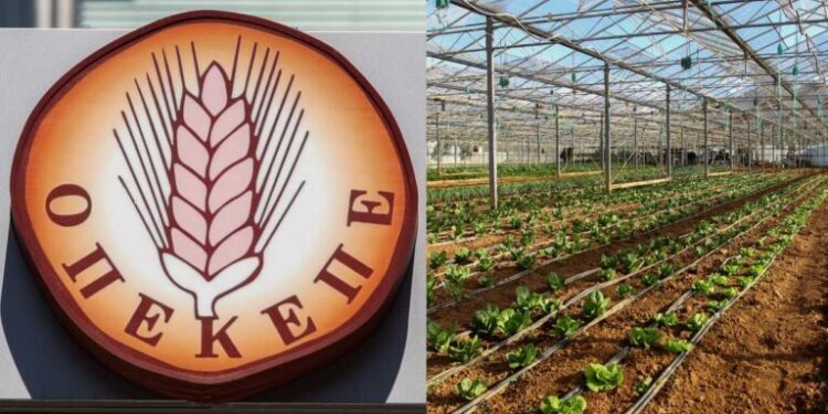 ΠΑΣΟΚ: Απέκλεισε κρίσιμους μάρτυρες η κυβέρνηση, από την εξεταστική για τον ΟΠΕΚΕΠΕ