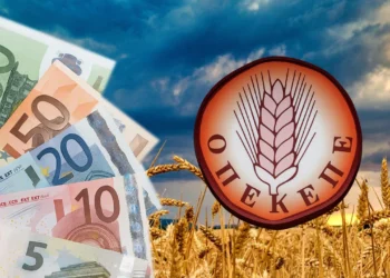 Σκάνδαλο ΟΠΕΚΕΠΕ: Σε εξέλιξη στην Κρήτη επιχείρηση της ΔΑΟΕ για τις παράνομες επιδοτήσεις – 14 προσαγωγές