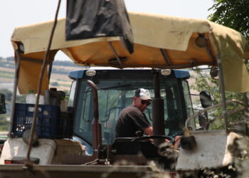 Έως το μεσημέρι η εξόφληση της βασικής ενίσχυσης στους αγρότες - Ο ΕΛΓΑ κράτησε λεφτά λόγω τεχνικού προβλήματος - ertnews.gr