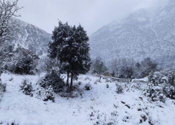 Ο εκπαιδευτής της ελληνικής ομάδας διάσωσης στο ΕΡΤnews για την τραγωδία στα Βαρδούσια με τους τέσσερις νεκρούς ορειβάτες - ertnews.gr