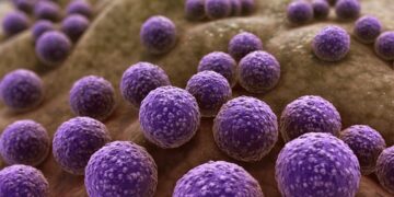 SPARDA: Ένα βακτηριακό σύστημα που ανοίγει τον δρόμο για την επόμενη γενιά διαγνωστικών εργαλείων