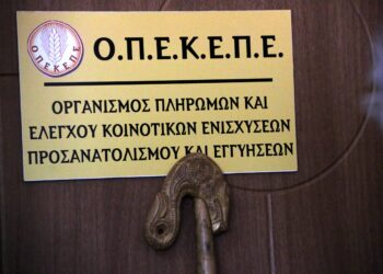 Συνεχίζεται η δίκη δύο πρώην στελεχών του ΟΠΕΚΕΠΕ - Κατηγορούνται ότι απέκρυψαν στοιχεία για «κόκκινα» ΑΦΜ και παράτυπες δηλώσεις - ertnews.gr
