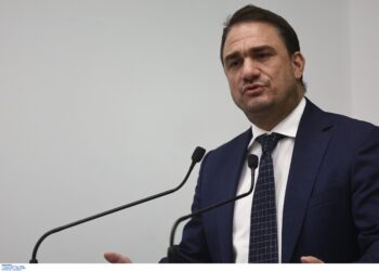 Τσουκαλάς σε Μαρινάκη για Βιολάντα: Βιάστηκε να διαβεβαιώσει πως ούτε η κυβέρνηση ούτε ο εργοδότης έφεραν ευθύνη - ertnews.gr