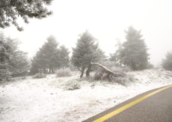 - ertnews.gr