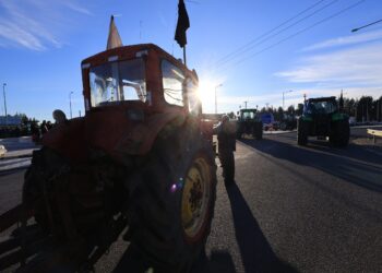 Αγρότες: Στο τραπέζι του διαλόγου με ανοιχτούς δρόμους – Το νέο ραντεβού, οι προϋποθέσεις και τα επόμενα βήματα - ertnews.gr