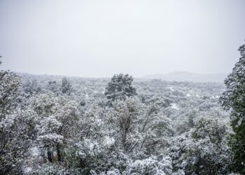 Καιρός: Ψυχρή εισβολή από το Σάββατο, κακοκαιρία από τα παλιά την Τετάρτη με ισχυρές χιονοπτώσεις στα ορεινά - Η πρόγνωση από τη Νικόλ Ζιακοπούλου - ertnews.gr