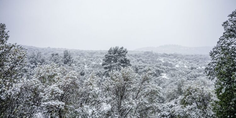 Καιρός: Ψυχρή εισβολή από το Σάββατο, κακοκαιρία από τα παλιά την Τετάρτη με ισχυρές χιονοπτώσεις στα ορεινά - Η πρόγνωση από τη Νικόλ Ζιακοπούλου - ertnews.gr