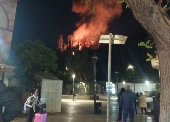 Φωτιά τώρα στη Δάφνη πάνω από τη στάση Μετρό «Αγ. Ιωάννης»