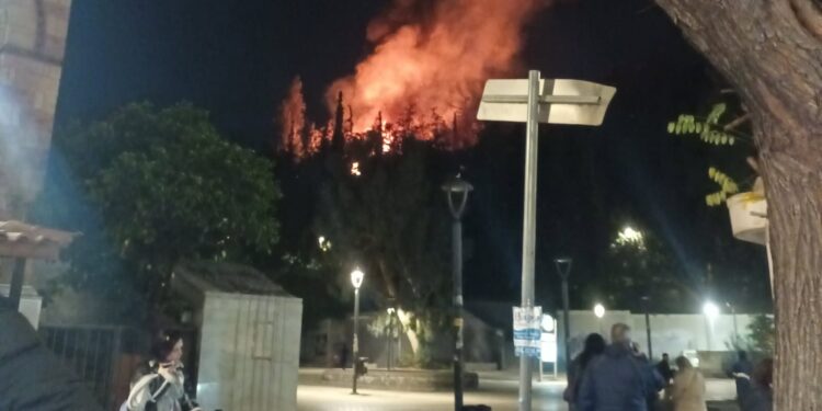 Φωτιά τώρα στη Δάφνη πάνω από τη στάση Μετρό «Αγ. Ιωάννης»