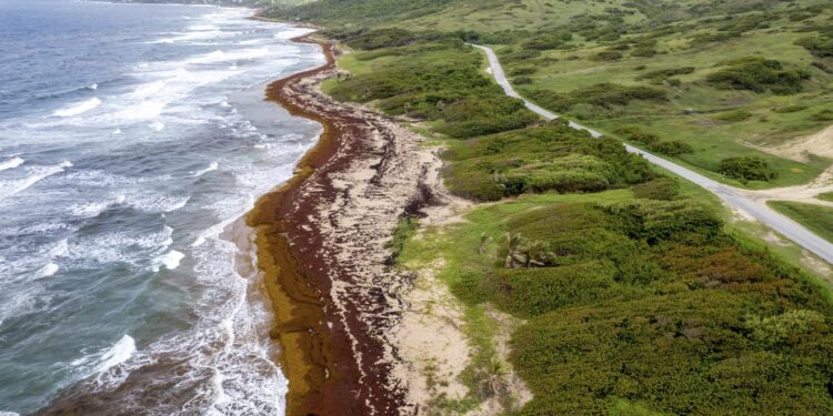 Μια τεράστια καφέ λωρίδα σε μέγεθος ηπείρου απλώνεται στον Ατλαντικό - Γιατί είναι τόσο ανησυχητικό