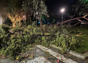 Αλεξανδρούπολη: Ανεμοστρόβιλος έκοψε πάνω από 15 δέντρα στο κέντρο της πόλης και αναποδογύρισε εκπαιδευτικά αεροσκάφη στο αεροδρόμιο «Δημόκριτος»