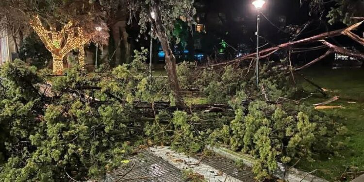 Αλεξανδρούπολη: Ανεμοστρόβιλος έκοψε πάνω από 15 δέντρα στο κέντρο της πόλης και αναποδογύρισε εκπαιδευτικά αεροσκάφη στο αεροδρόμιο «Δημόκριτος»
