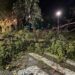 Αλεξανδρούπολη: Ανεμοστρόβιλος έκοψε πάνω από 15 δέντρα στο κέντρο της πόλης και αναποδογύρισε εκπαιδευτικά αεροσκάφη στο αεροδρόμιο «Δημόκριτος»