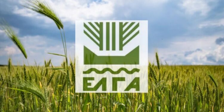 Πληρωμές σήμερα από τον ΕΛΓΑ σε πληγέντες από τον Παγετό την Άνοιξη του 2025