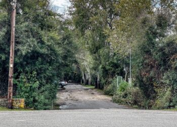 Έγκλημα στη Φοινικούντα: Ανασκευάζει την κατάθεσή του ο 22χρονος – Αρνείται ότι πυροβόλησε