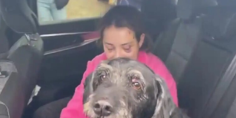 Ισπανία: Διασώθηκε σκύλος που βρισκόταν μέσα σε ένα από τα μοιραία βαγόνια της σιδηροδρομικής τραγωδίας