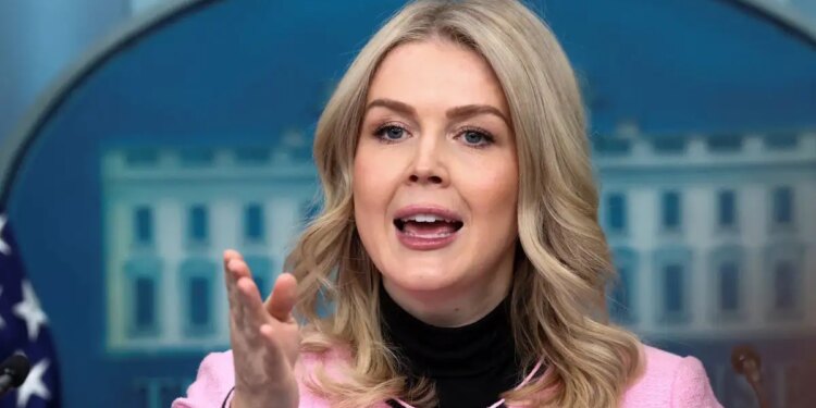 Ο Λευκός Οίκος «απειλεί» την Γροιλανδία: «Όλες οι επιλογές στο τραπέζι, αλλά πρώτα η διπλωματία»