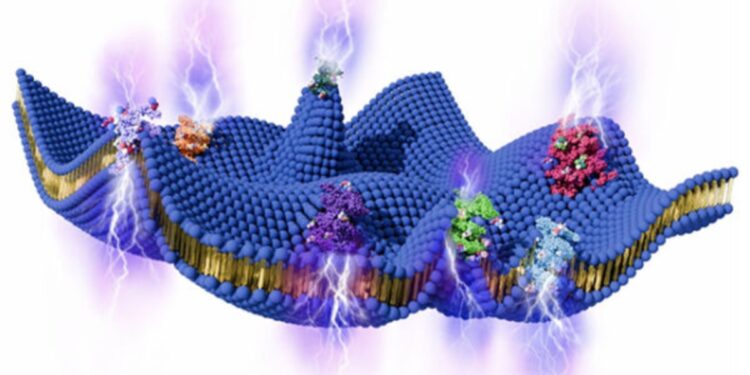 Μια άγνωστη πηγή ενέργειας φαίνεται να κρύβεται γύρω από τα κύτταρά μας