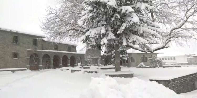 Ισχυρές καταιγίδες, θυελλώδεις άνεμοι και «λευκά» τοπία: Το ΕΡΤnews στο «μάτι» της κακοκαιρίας