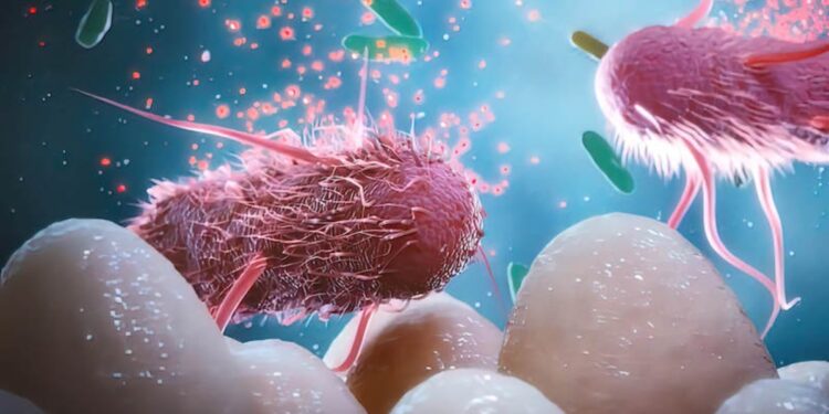 Κοινές χημικές ουσίες βλάπτουν τα ωφέλιμα βακτήρια του εντέρου, διαπιστώνει μελέτη