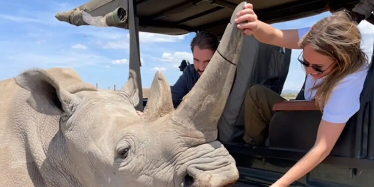 Φίλιππος Ντε Γκρες και Νίνα Φλορ σε εικόνες από πάρκο στην Αφρική με άγρια ζώα
