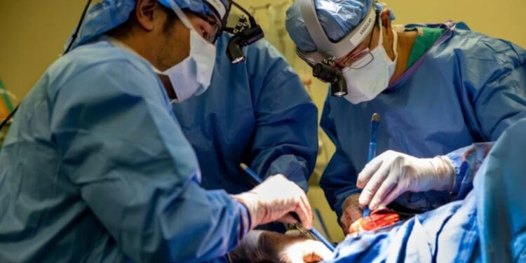 Πρωτοποριακό ιατρικό επίτευγμα: 33χρονος έζησε χωρίς πνεύμονες για 48 ώρες