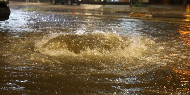 N. Ζιακοπούλου: Ιστορικό το ποσό νερού που έπεσε στην Αττική - Πάνω από 150 τόνοι νερού ανά στρέμμα - ertnews.gr