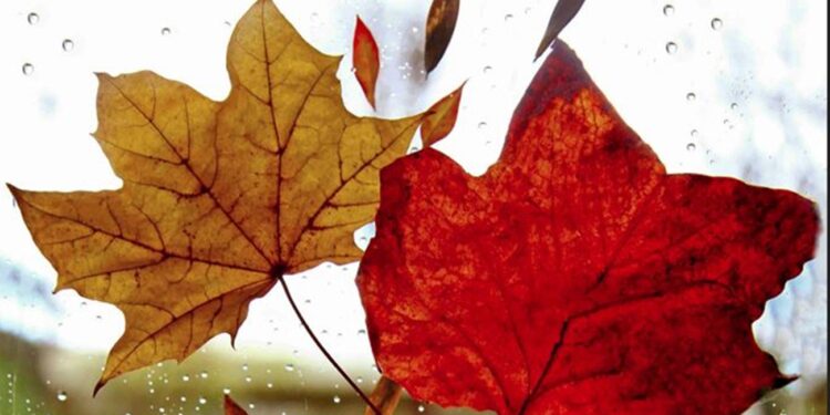 Καιρός: Ισχυροί νοτιάδες και έντονες βροχές, υψηλές θερμοκρασίες έως την Τετάρτη – Πρόγνωση από την Αν. Τυράσκη