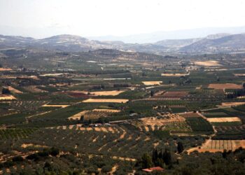 Αιτήσεις ενίσχυσης: Ανοίγει τη Δευτέρα η πλατφόρμα της ΑΑΔΕ για διορθώσεις από αγρότες και κτηνοτρόφους