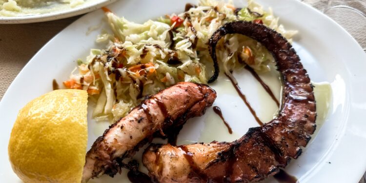 Καθαρά Δευτέρα: «Τσιμπημένες» οι τιμές στα θαλασσινά - Έως και 21% υψηλότερες από πέρυσι - ertnews.gr