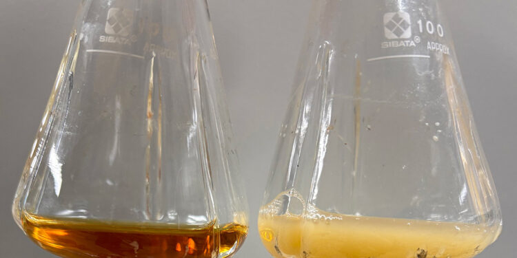 Ερευνητές κατάφεραν να μετατρέψουν βακτήριο σε «όπλο» κατά του καρκίνου και του HIV