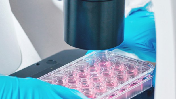 Θεαματική η προστιθέμενη αξία για την Ευρώπη από τις κλινικές μελέτες