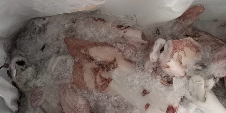 Νέες κατασχέσεις 5,6 τόνων ακατάλληλων τροφίμων από την Περιφέρεια Αττικής