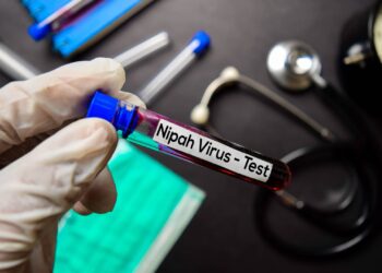 Χαμηλός ο κίνδυνος εξάπλωσης του ιού Νίπαχ στην Ινδία, χωρίς ενδείξεις εξάπλωσης