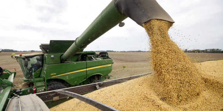 Τα βιοκαύσιμα σόγιας δεν θα λογίζονται πλέον  ανανεώσιμες πηγές ενέργειας στην Ε.Ε.