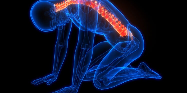 Επιστήμονες ανέπτυξαν μικροσκοπικούς νωτιαίους μυελούς από βλαστοκύτταρα για να θεραπεύσουν την παράλυση