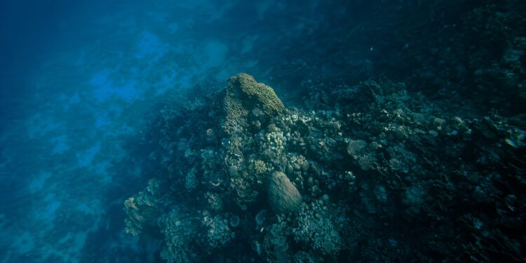 Επιστήμονες προειδοποιούν για έναν κρυφό κόσμο που «κοιμάται» βαθιά κάτω από τη Γη - Θα ξυπνήσει με κάτι που θα συμβεί μόνο μία φορά σε χιλιάδες χρόνια;