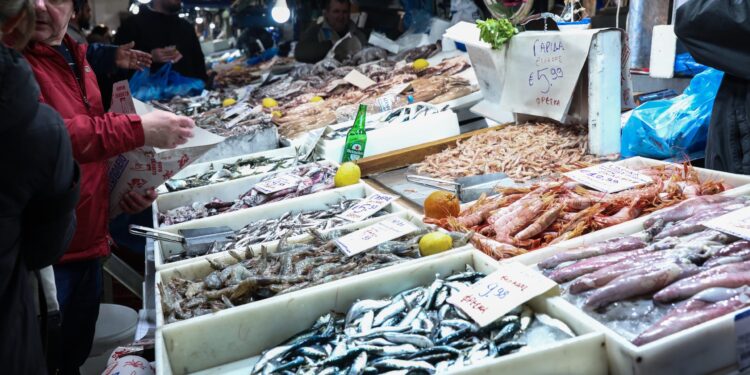 Ανοιχτές για σαρακοστιανά ψώνια της τελευταίας στιγμής Βαρβάκειος και Καπάνι - ertnews.gr