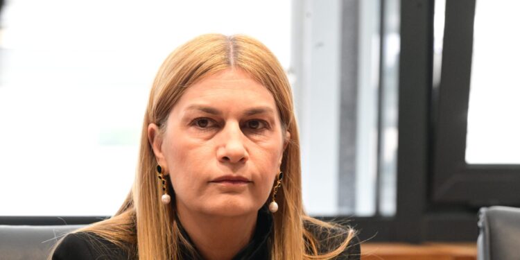 Σ. Βολουδάκη στο ΕΡΤnews: Πολύ λυπηρό το γεγονός στη Χίο - Έχουμε καθημερινά περιστατικά με διακινητές σε Αιγαίο και νότια Κρήτη - ertnews.gr