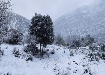 Δύο ορειβάτες αναζητούνται στον Παρνασσό – Επιχείρηση για τη διάσωσή τους