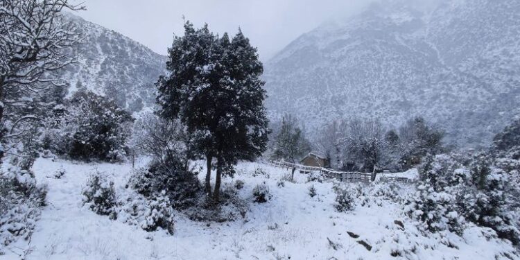 Δύο ορειβάτες αναζητούνται στον Παρνασσό – Επιχείρηση για τη διάσωσή τους